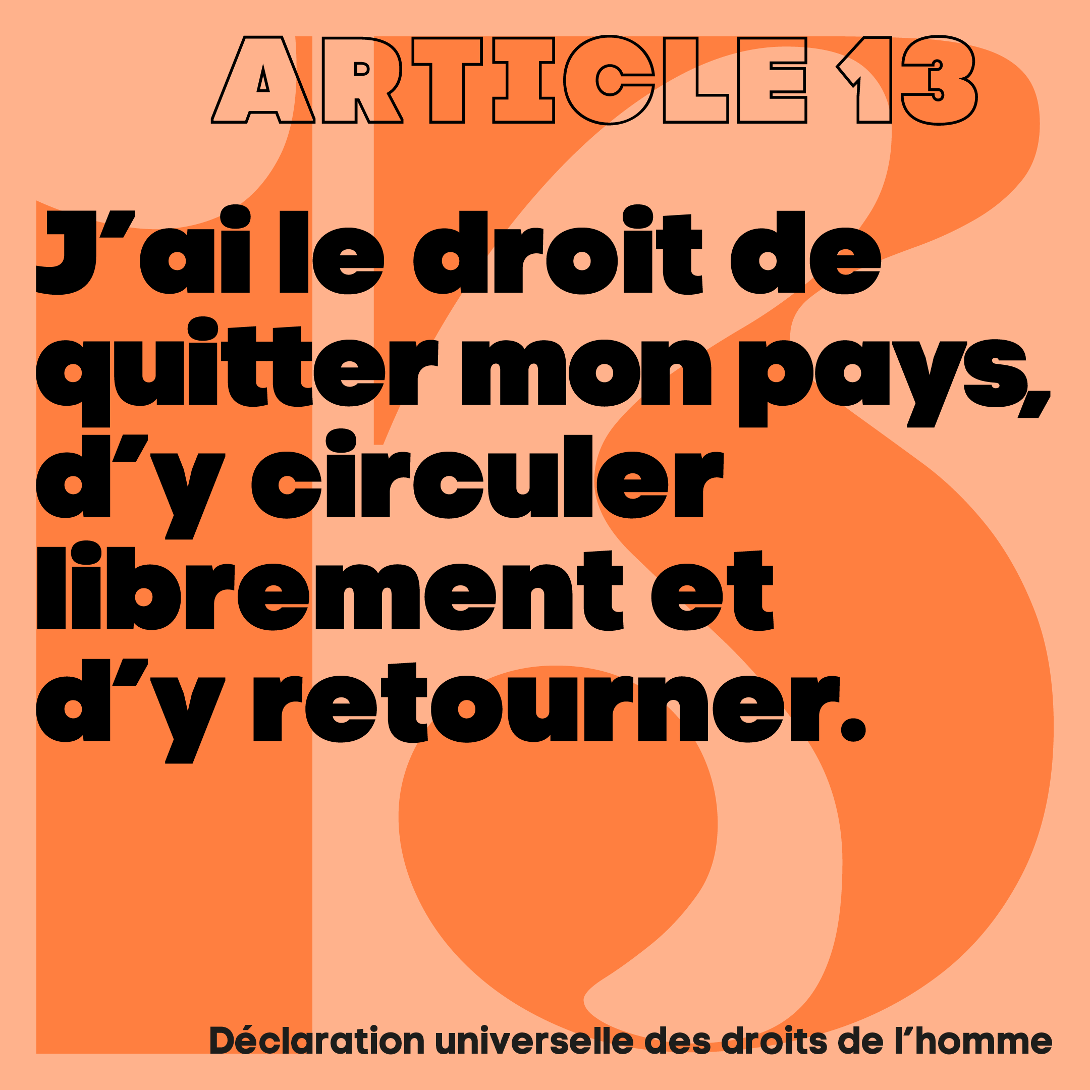 article_13