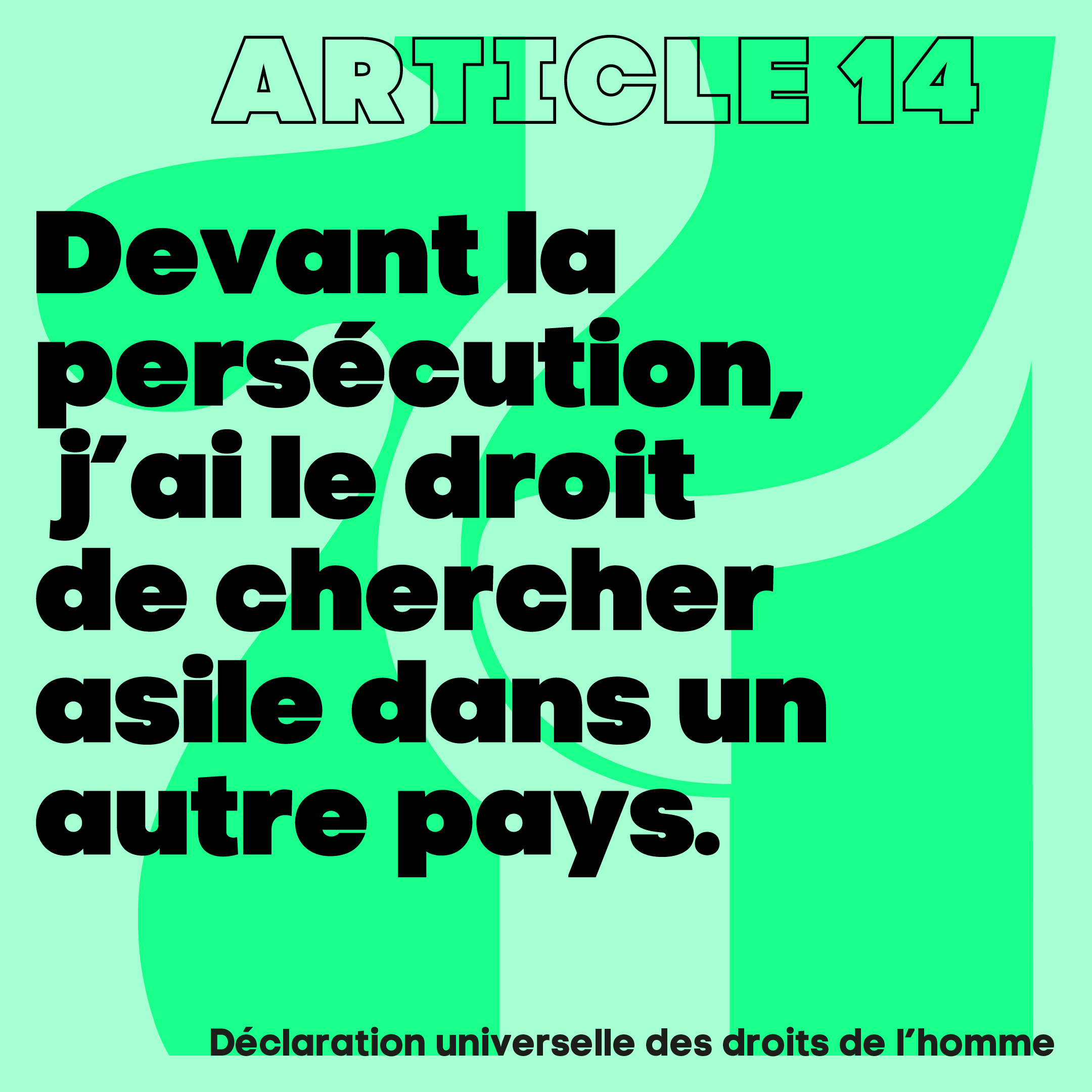 article_14
