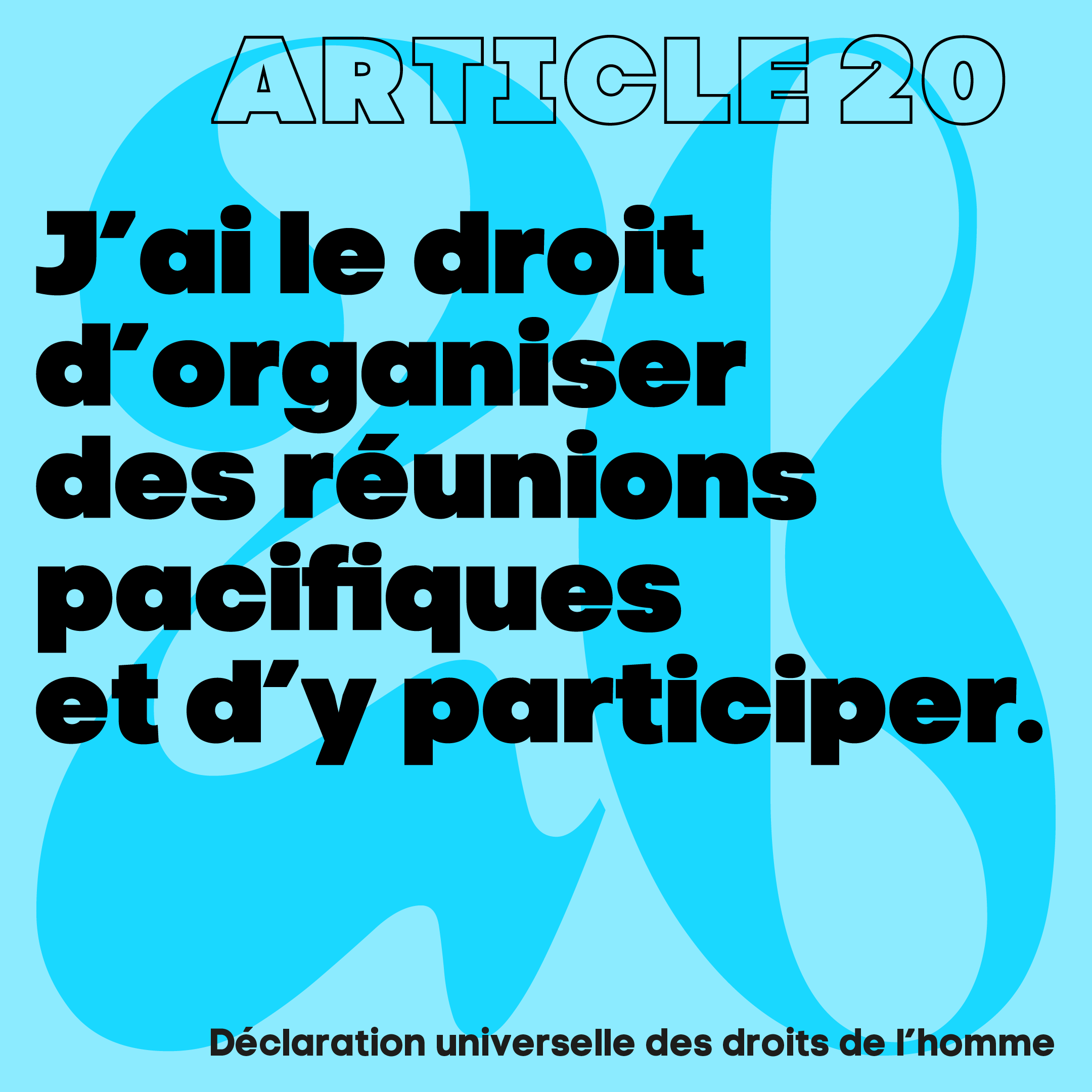 article_20
