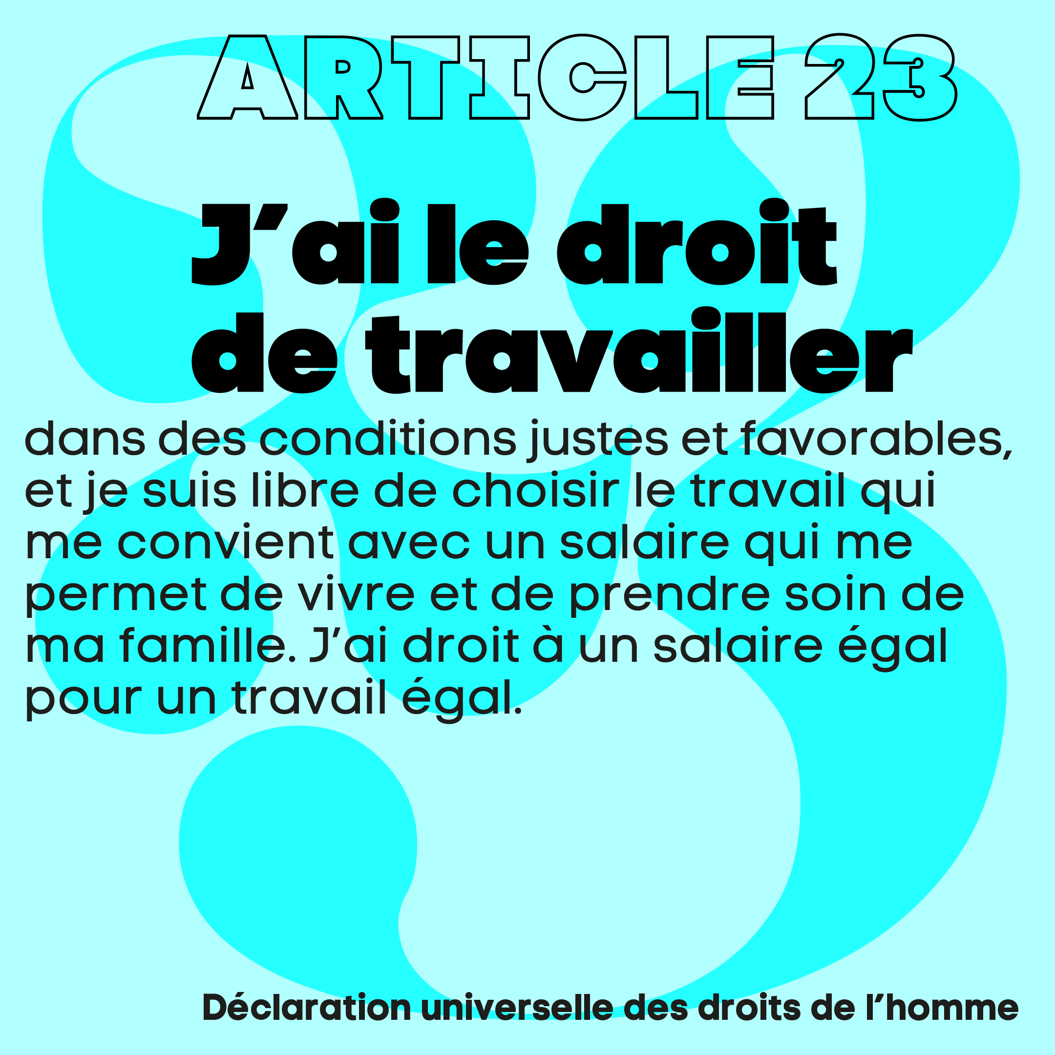 article_23