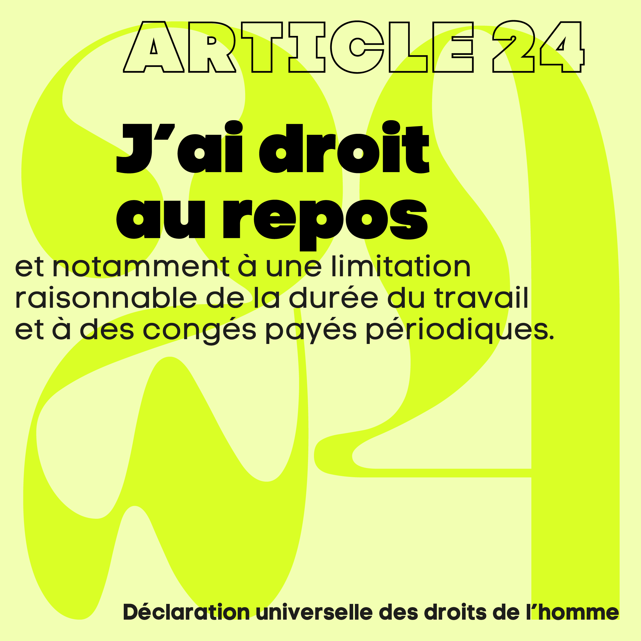 article_24
