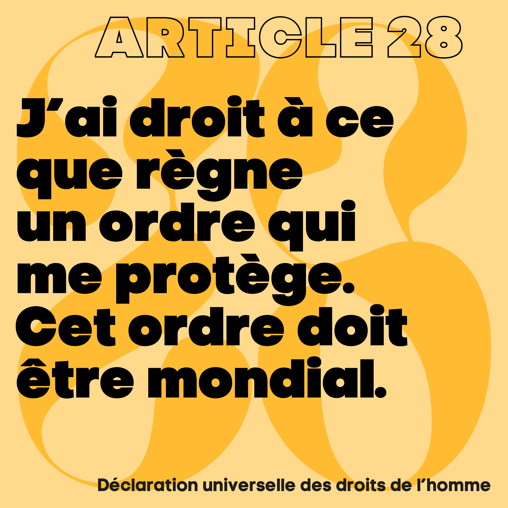 article_28